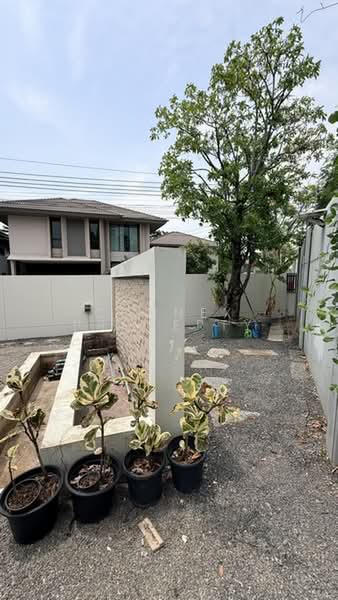 Saransiri Srivaree, Samut Prakan, 343 Rural Road, Srisa Chorakhe Noi, Bang Sao Thong, Samut Prakan, 4 Bedrooms, 245 sqm, Single Detached House For Rent, by Connex Property, 500364732 - DDproperty.com