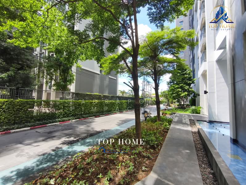 Aspire Sukhumvit 48 : แอสปาย สุขุมวิท 48, กรุงเทพ, ซอยสุขุมวิท 48 ถนนสุขุมวิท แขวงพระโขนง เขตคลองเตย กรุงเทพมหานคร, พระโขนง, คลองเตย, กรุงเทพ, 32 ตร.ม., คอนโด ขาย, โดย Tadsapong Pimpachad, 500364788 - DDproperty.com