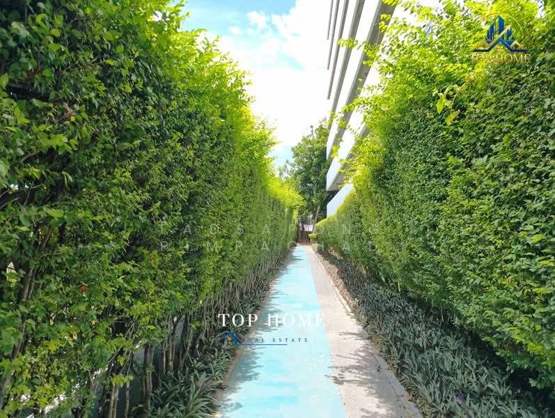 Aspire Sukhumvit 48, Bangkok, Sukhumvit Road, Phra Kanong, Khlong Toei, Bangkok, 1 Bedroom, 32 sqm, Condo For Sale, by Tadsapong Pimpachad, 500364788 - DDproperty.com