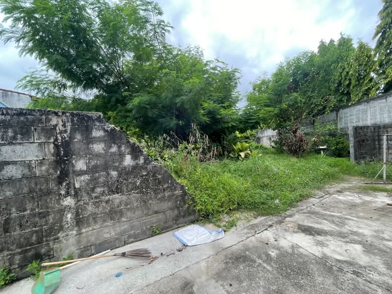 ซอยรัษฎารำลึก, Phuket, Ratsada, Muang Phuket, Phuket, , 1,512 sqm, Land For Sale, by พลอยจิรา, 500364831 - DDproperty.com