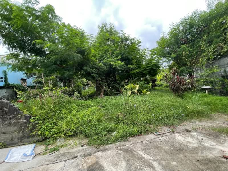 ซอยรัษฎารำลึก, Phuket, Ratsada, Muang Phuket, Phuket, , 1,512 sqm, Land For Sale, by พลอยจิรา, 500364831 - DDproperty.com