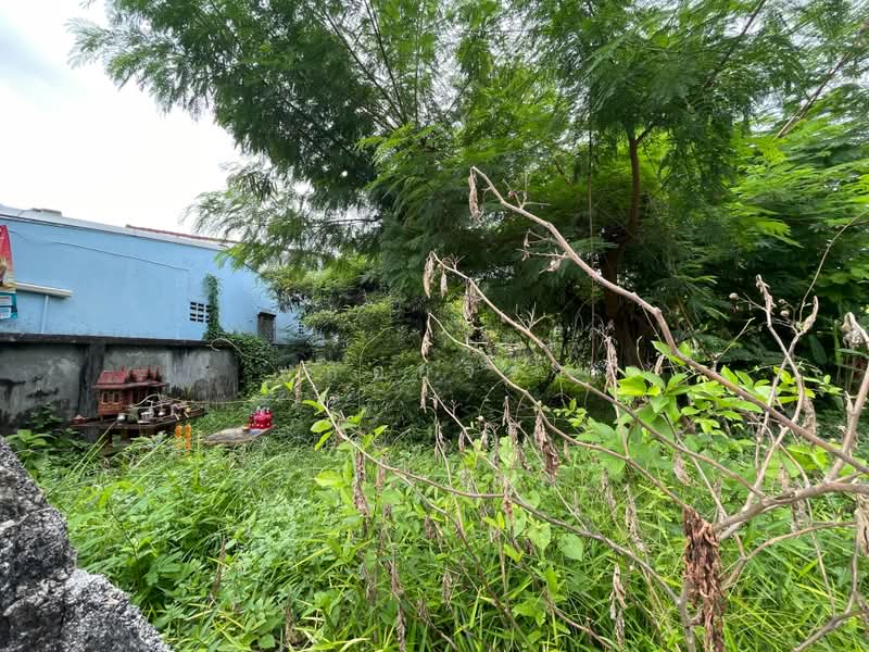 ซอยรัษฎารำลึก, Phuket, Ratsada, Muang Phuket, Phuket, , 1,512 sqm, Land For Sale, by พลอยจิรา, 500364831 - DDproperty.com