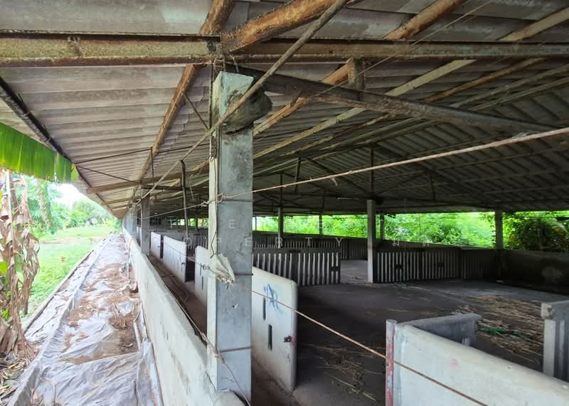 ที่ดินพร้อมสิ่งปลูกสร้างบางเลน นครปฐม, Nakhon Pathom, Bang Rakam, Bang Len, Nakhon Pathom, , 8,400 sqm, Land For Sale, by The Best Property มล, 500364838 - DDproperty.com