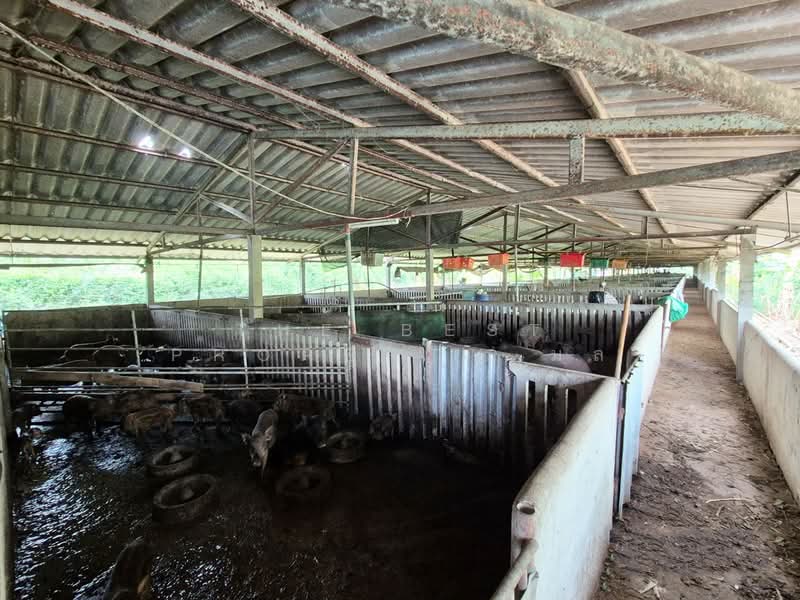 ที่ดินพร้อมสิ่งปลูกสร้างบางเลน นครปฐม, Nakhon Pathom, Bang Rakam, Bang Len, Nakhon Pathom, , 8,400 sqm, Land For Sale, by The Best Property มล, 500364838 - DDproperty.com