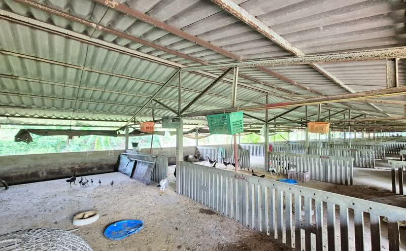 ที่ดินพร้อมสิ่งปลูกสร้างบางเลน นครปฐม, นครปฐม, บางระกำ, บางเลน, นครปฐม, 8,400 ตร.ม., ที่ดิน ขาย, โดย The Best Property มล, 500364838 - DDproperty.com