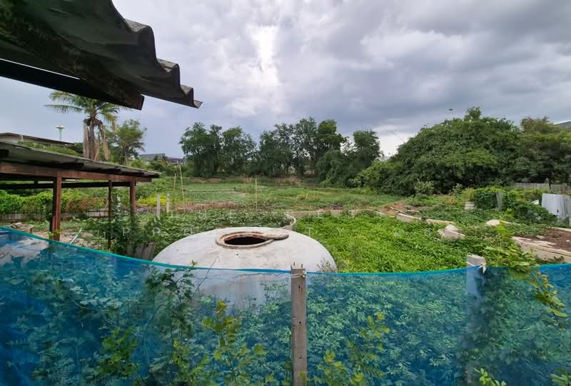 ที่ดินพร้อมสิ่งปลูกสร้างบางเลน นครปฐม, Nakhon Pathom, Bang Rakam, Bang Len, Nakhon Pathom, , 8,400 sqm, Land For Sale, by The Best Property มล, 500364838 - DDproperty.com