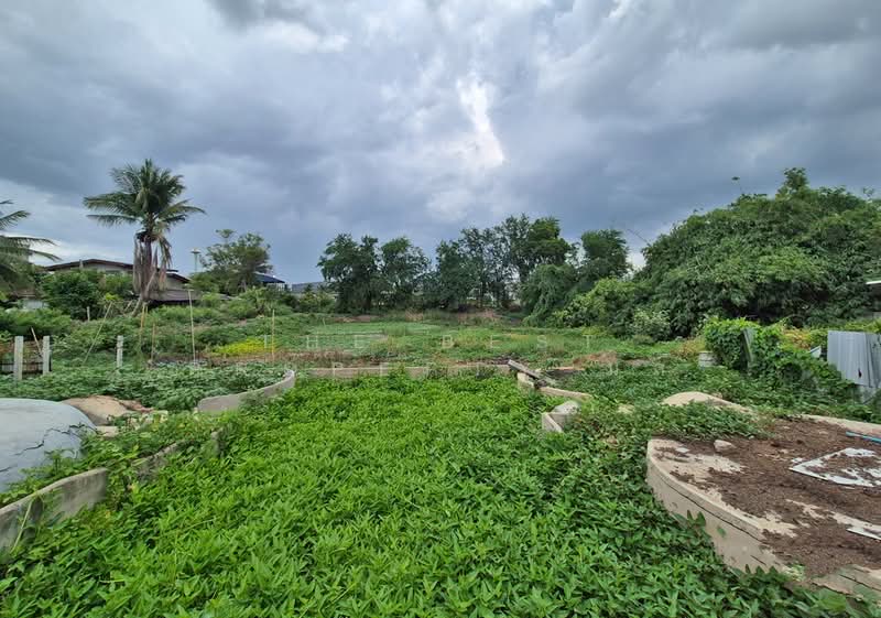 ที่ดินพร้อมสิ่งปลูกสร้างบางเลน นครปฐม, Nakhon Pathom, Bang Rakam, Bang Len, Nakhon Pathom, , 8,400 sqm, Land For Sale, by The Best Property มล, 500364838 - DDproperty.com