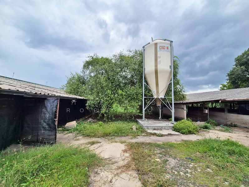 ที่ดินพร้อมสิ่งปลูกสร้างบางเลน นครปฐม, Nakhon Pathom, Bang Rakam, Bang Len, Nakhon Pathom, , 8,400 sqm, Land For Sale, by The Best Property มล, 500364838 - DDproperty.com