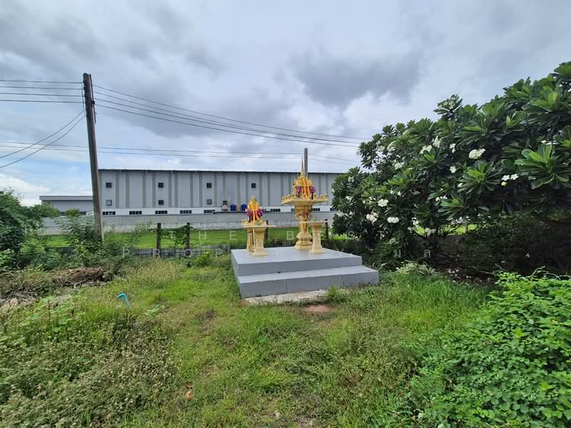 ที่ดินพร้อมสิ่งปลูกสร้างบางเลน นครปฐม, Nakhon Pathom, Bang Rakam, Bang Len, Nakhon Pathom, , 8,400 sqm, Land For Sale, by The Best Property มล, 500364838 - DDproperty.com