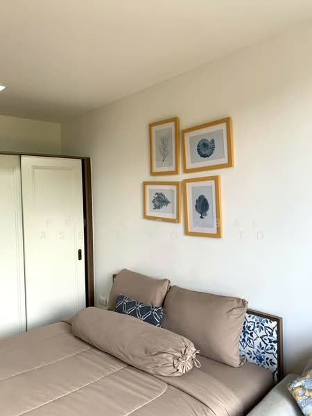 The Base Central, Phuket, Chao Fah Tawan Tok Rd, Wichit, Muang Phuket, Phuket, 1 Bedroom, 29 sqm, Condo For Rent, by Prime Global Asset Co.,Ltd, 500364839 - DDproperty.com