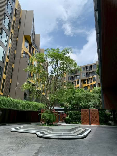 The Base Central, Phuket, Chao Fah Tawan Tok Rd, Wichit, Muang Phuket, Phuket, 1 Bedroom, 29 sqm, Condo For Rent, by Prime Global Asset Co.,Ltd, 500364839 - DDproperty.com