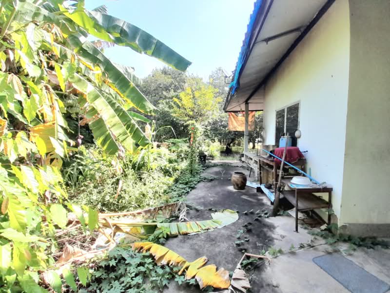 บ้านเดี่ยวบ้านโป่ง ราชบุรี, Ratchaburi, Nong O, Ban Pong, Ratchaburi, 1 Bedroom, 100 sqm, Single Detached House For Sale, by The Best Property วอร์, 500364866 - DDproperty.com