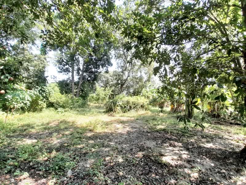 บ้านเดี่ยวบ้านโป่ง ราชบุรี, Ratchaburi, Nong O, Ban Pong, Ratchaburi, 1 Bedroom, 100 sqm, Single Detached House For Sale, by The Best Property วอร์, 500364866 - DDproperty.com