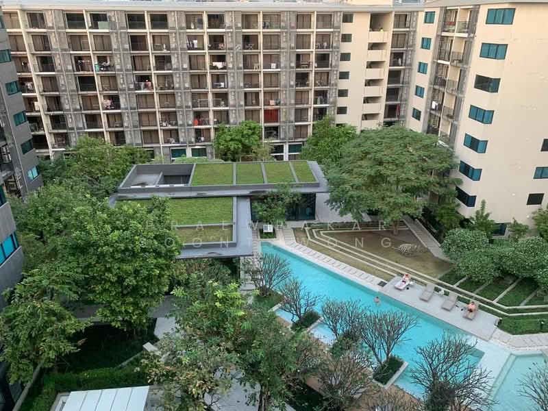 Blossom Condo @ Sathorn-Charoenrat : บลอสซั่ม คอนโด สาทร-เจริญราษฎร์, กรุงเทพ, ถนนเจริญราษฎร์, ทุ่งวัดดอน, สาทร, กรุงเทพ, 31 ตร.ม., คอนโด ให้เช่า, โดย Praewpakar Soontawong, 500364920 - DDproperty.com