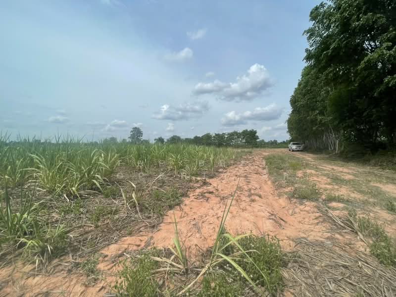 ที่ดินบ้านไผ่ ขอนแก่น, Khon Kaen, Ban Lan, Ban Phai, Khon Kaen, , 21,512 sqm, Land For Sale, by The Best Property อัคร, 500364934 - DDproperty.com