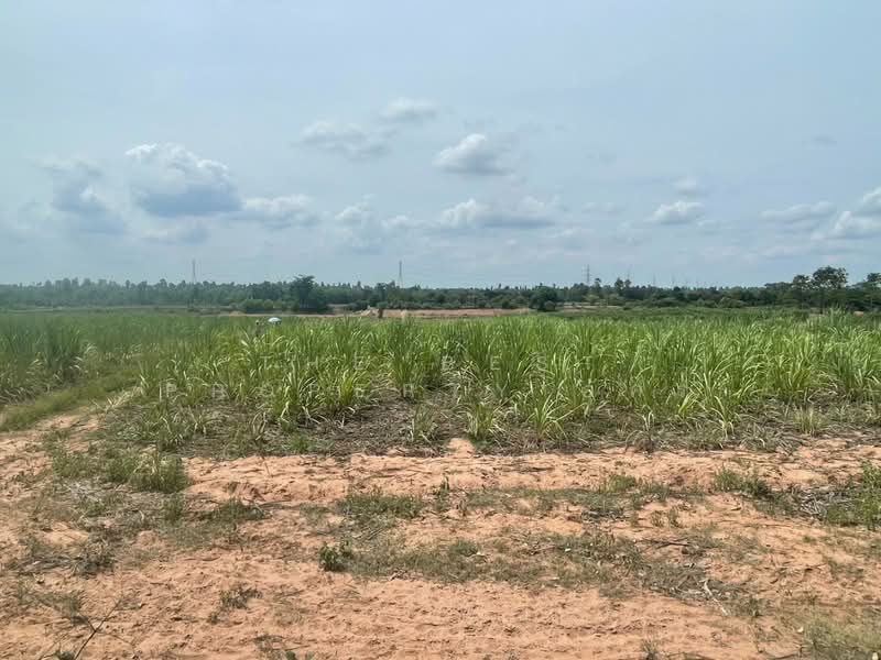 ที่ดินบ้านไผ่ ขอนแก่น, Khon Kaen, Ban Lan, Ban Phai, Khon Kaen, , 21,512 sqm, Land For Sale, by The Best Property อัคร, 500364934 - DDproperty.com