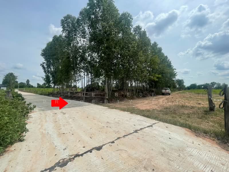ที่ดินบ้านไผ่ ขอนแก่น, Khon Kaen, Ban Lan, Ban Phai, Khon Kaen, , 21,512 sqm, Land For Sale, by The Best Property อัคร, 500364934 - DDproperty.com