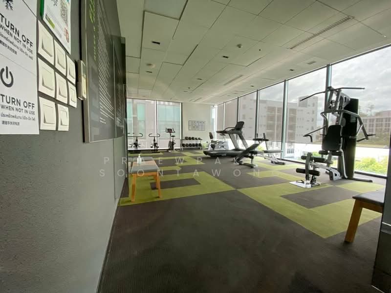IDEO MOBI Sukhumvit 81 : ไอดีโอ โมบิ สุขุมวิท 81, กรุงเทพ, 2097 ถนนสุขุมวิท แขวงบางจาก เขตพระโขนง กรุงเทพมหานคร, บางจาก, พระโขนง, กรุงเทพ, 31 ตร.ม., คอนโด ให้เช่า, โดย Praewpakar Soontawong, 500365238 - DDproperty.com
