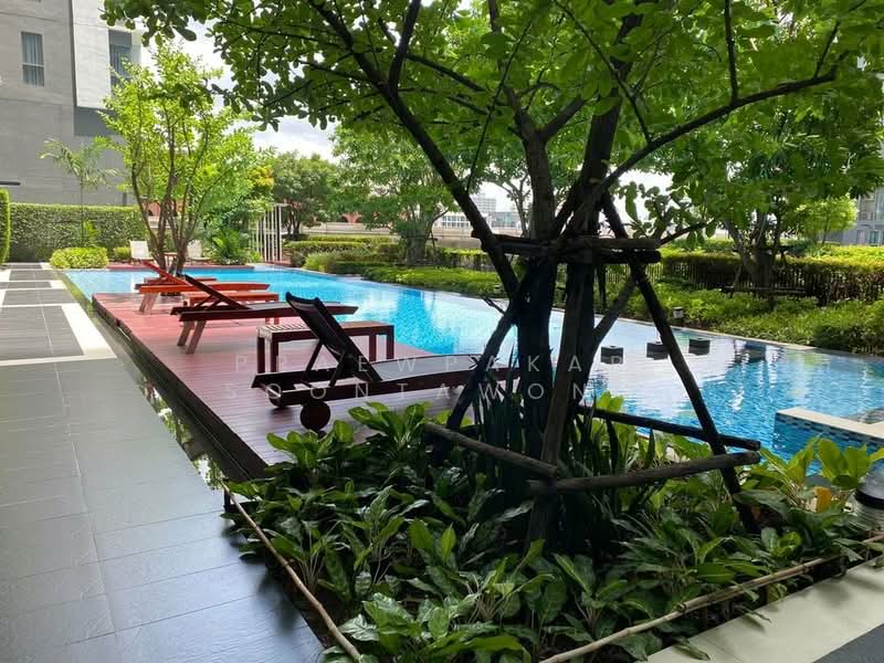IDEO MOBI Sukhumvit 81, Bangkok, 2097 Sukhumvit Road, Bang Chak, Phra Khanong, Bangkok, 1 Bedroom, 31 sqm, Condo For Rent, by Praewpakar Soontawong, 500365238 - DDproperty.com
