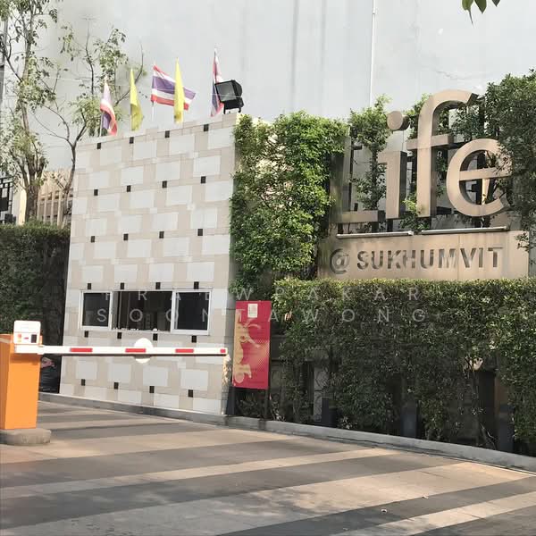 Life @ Sukhumvit 65, Bangkok, Sukhumvit Road, Phra Kanong Nua, Watthana, Bangkok, 1 Bedroom, 42 sqm, Condo For Rent, by Praewpakar Soontawong, 500365248 - DDproperty.com