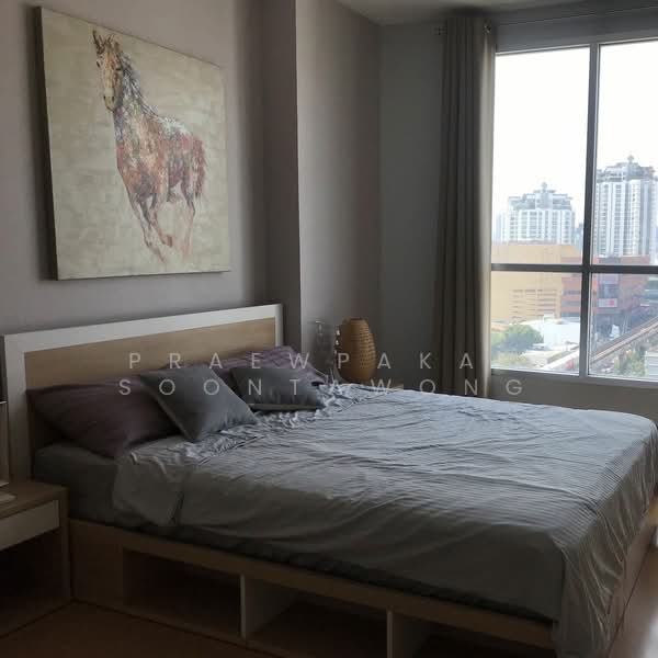Life @ Sukhumvit 65, Bangkok, Sukhumvit Road, Phra Kanong Nua, Watthana, Bangkok, 1 Bedroom, 42 sqm, Condo For Rent, by Praewpakar Soontawong, 500365248 - DDproperty.com