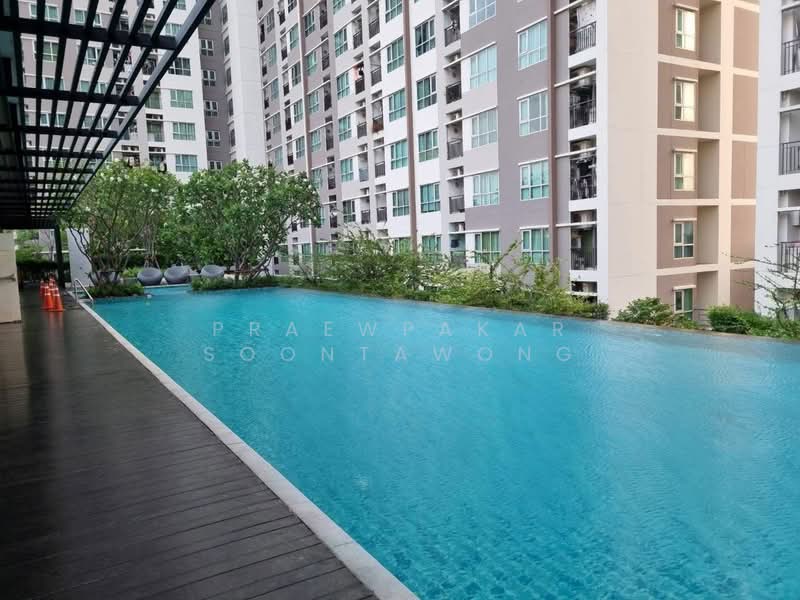 Aspire Sukhumvit-Rama 4 : แอสปาย สุขุมวิท-พระราม 4, กรุงเทพ, 4404 พระราม 4, พระโขนง, คลองเตย, กรุงเทพ, 28 ตร.ม., คอนโด ให้เช่า, โดย Praewpakar Soontawong, 500365257 - DDproperty.com