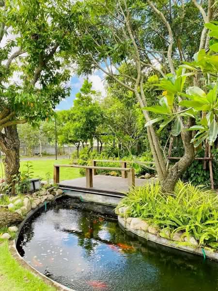 บ่อวิน, Chon Buri (Pattaya), Bo Win, Si Racha, Chon Buri (Pattaya), , 270 sqm, Business For Sale, by ภัชลี ลภณวิช, 500365265 - DDproperty.com
