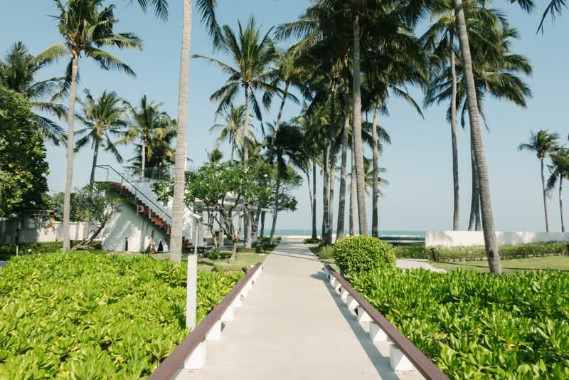 OCAS Hua Hin, Prachuap Khiri Khan, Petchkasem, Hua Hin, Prachuap Khiri Khan, 2 Bedrooms, 110 sqm, Condo For Rent, by Pattanapong Pongpipat, 500365342 - DDproperty.com