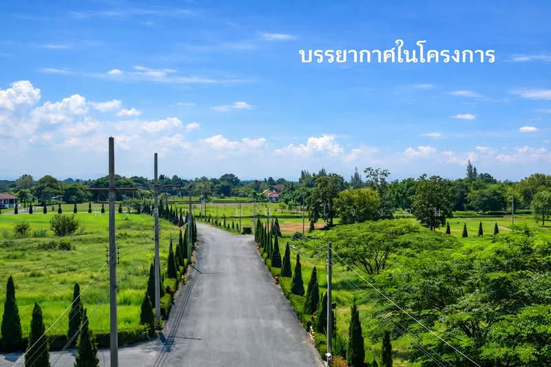 ขายที่ดินแปลงสวยในโครงการ The Nature Home Chiangmai, เชียงใหม่, หารแก้ว, หางดง, เชียงใหม่, 708 ตร.ม., ที่ดิน ขาย, โดย พงศา แสนใจงาม, 500365379 - DDproperty.com