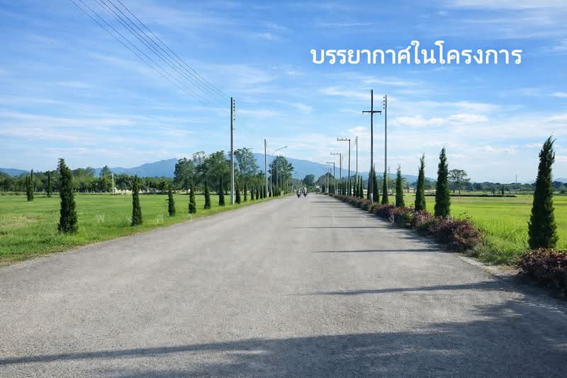 ขายที่ดินแปลงสวยในโครงการ The Nature Home Chiangmai, Chiang Mai, Han Kaeo, Hang Dong, Chiang Mai, , 708 sqm, Land For Sale, by พงศา แสนใจงาม, 500365379 - DDproperty.com
