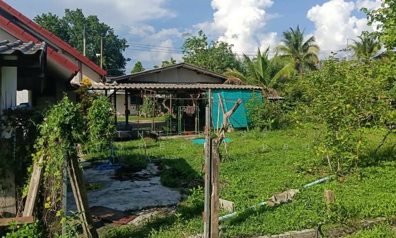 บ้านเดี่ยวพร้อมที่ดินเหมืองจี้ ลำพูน, Lamphun, Muang Chi, Muang Lamphun, Lamphun, 4 Bedrooms, 530 sqm, Single Detached House For Sale, by The Best Property บอย, 500365403 - DDproperty.com