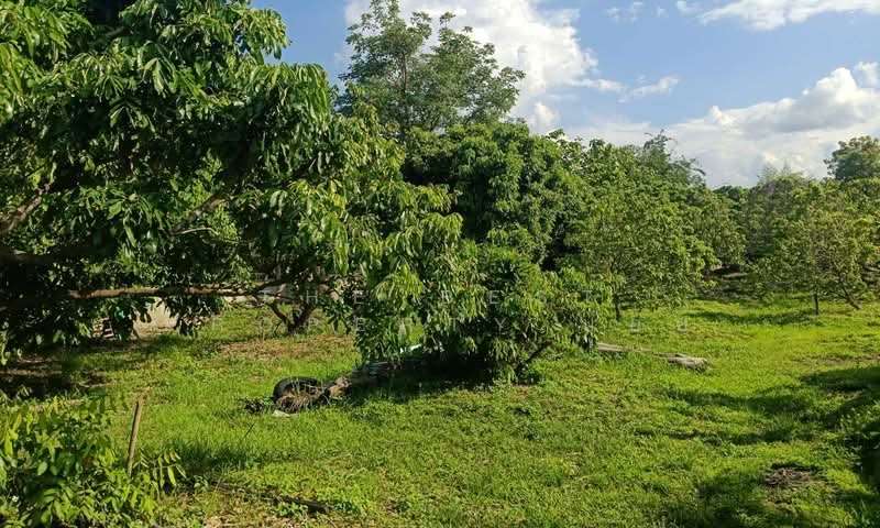 บ้านเดี่ยวพร้อมที่ดินเหมืองจี้ ลำพูน, Lamphun, Muang Chi, Muang Lamphun, Lamphun, 4 Bedrooms, 530 sqm, Single Detached House For Sale, by The Best Property บอย, 500365403 - DDproperty.com