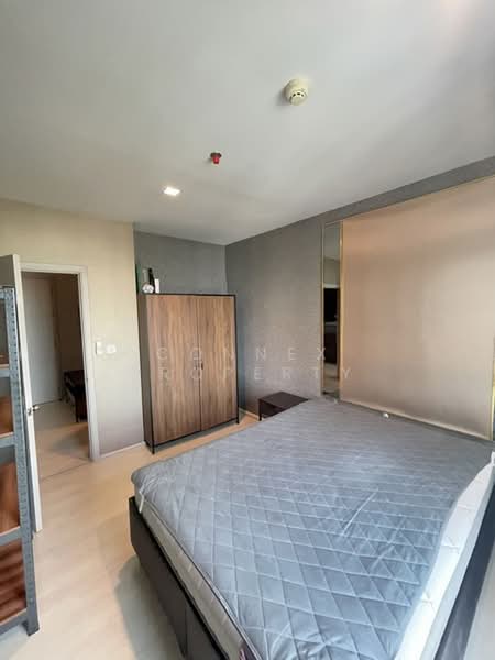 Life Sukhumvit 48, Bangkok, Soi Sukhumvit 48, Phra Kanong, Khlong Toei, Bangkok, 1 Bedroom, 35 sqm, Condo For Rent, by Connex Property, 500365489 - DDproperty.com