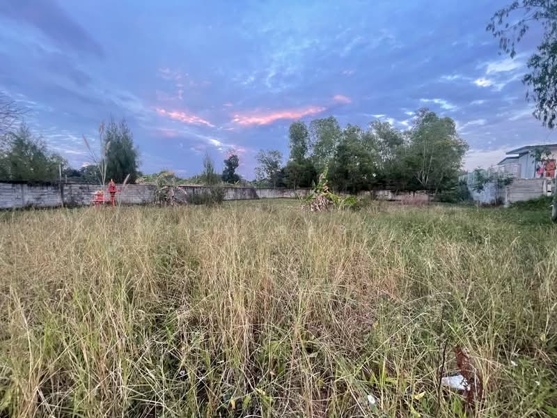 ที่ดินบ้านไผ่ ขอนแก่น, Khon Kaen, Nai Muang, Ban Phai, Khon Kaen, , 1,624 sqm, Land For Sale, by The Best Property อัคร, 500365687 - DDproperty.com