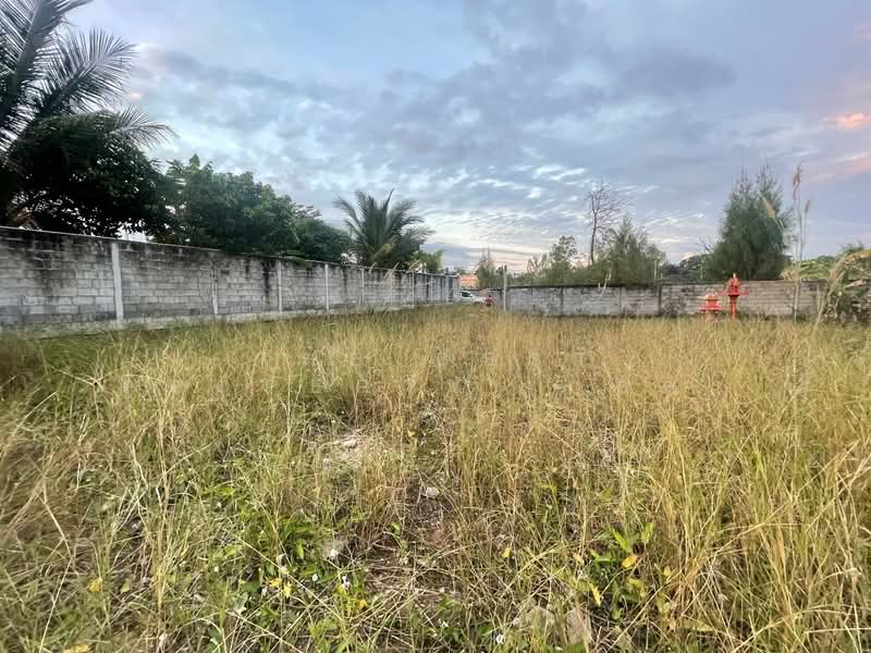 ที่ดินบ้านไผ่ ขอนแก่น, Khon Kaen, Nai Muang, Ban Phai, Khon Kaen, , 1,624 sqm, Land For Sale, by The Best Property อัคร, 500365687 - DDproperty.com
