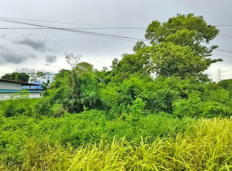 ที่ดินมีนบุรี กรุงเทพมหานคร, Bangkok, Min Buri, Bangkok, , 6,024 sqm, Land For Sale, by The Best Property นกกี้, 500365735 - DDproperty.com