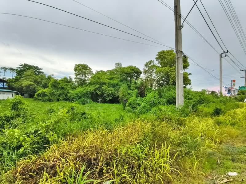 ที่ดินมีนบุรี กรุงเทพมหานคร, กรุงเทพ, มีนบุรี, กรุงเทพ, 6,024 ตร.ม., ที่ดิน ขาย, โดย The Best Property นกกี้, 500365735 - DDproperty.com