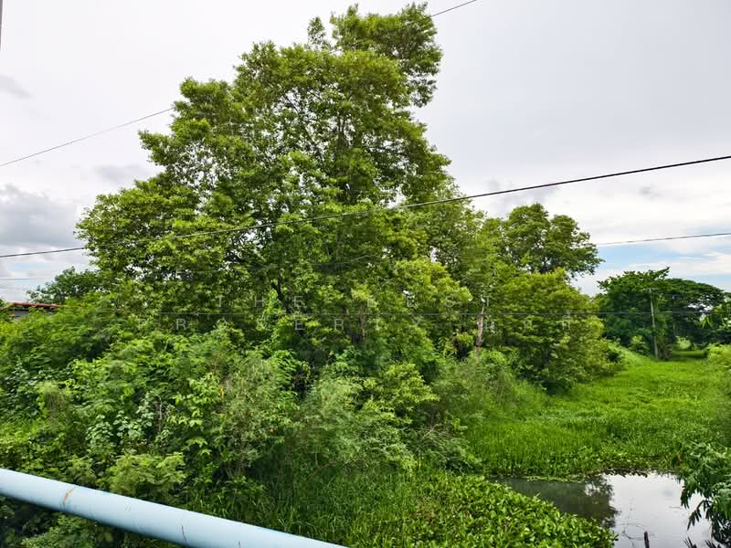 ที่ดินมีนบุรี กรุงเทพมหานคร, Bangkok, Min Buri, Bangkok, , 6,024 sqm, Land For Sale, by The Best Property นกกี้, 500365735 - DDproperty.com