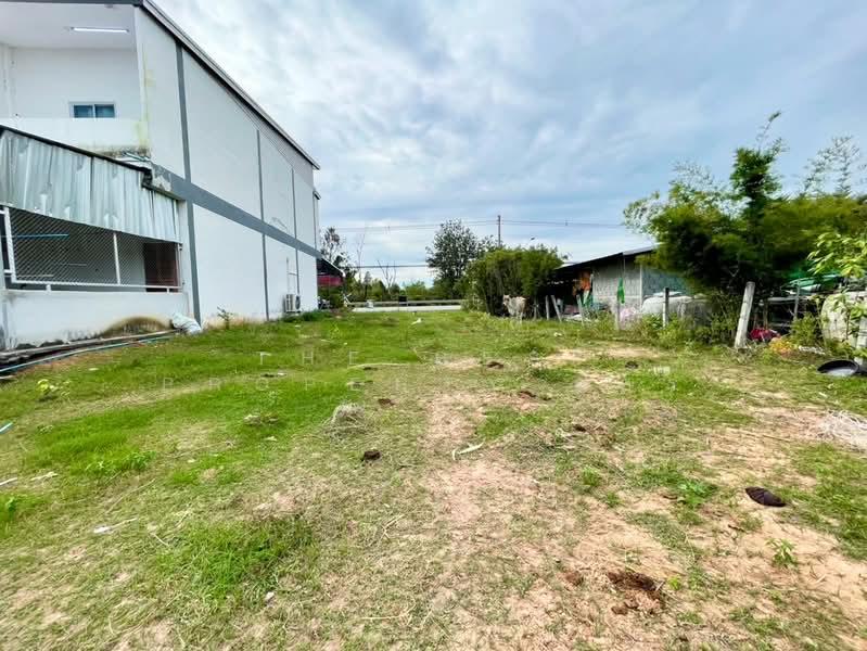 ที่ดินโนนศิลา ขอนแก่น, Khon Kaen, Non Sila, Khon Kaen, , 400 sqm, Land For Sale, by The Best Property อัคร, 500365794 - DDproperty.com