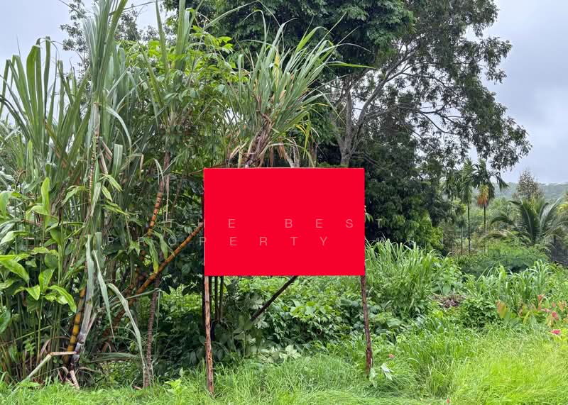 ที่ดินโป่งน้ำร้อน จันทบุรี, Chanthaburi, Thap Sai, Pong Nam Ron, Chanthaburi, , 3,080 sqm, Land For Sale, by The Best Property หนึ่ง, 500365871 - DDproperty.com