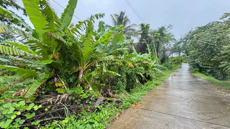 ที่ดินโป่งน้ำร้อน จันทบุรี, Chanthaburi, Thap Sai, Pong Nam Ron, Chanthaburi, , 3,080 sqm, Land For Sale, by The Best Property หนึ่ง, 500365871 - DDproperty.com