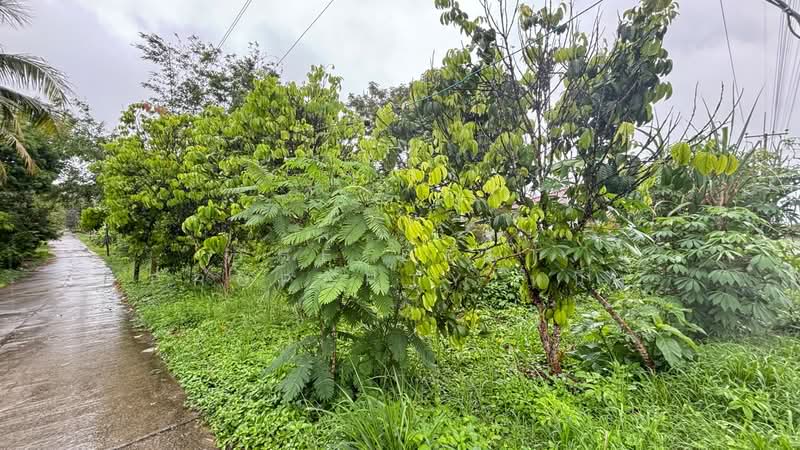 ที่ดินโป่งน้ำร้อน จันทบุรี, Chanthaburi, Thap Sai, Pong Nam Ron, Chanthaburi, , 3,080 sqm, Land For Sale, by The Best Property หนึ่ง, 500365871 - DDproperty.com
