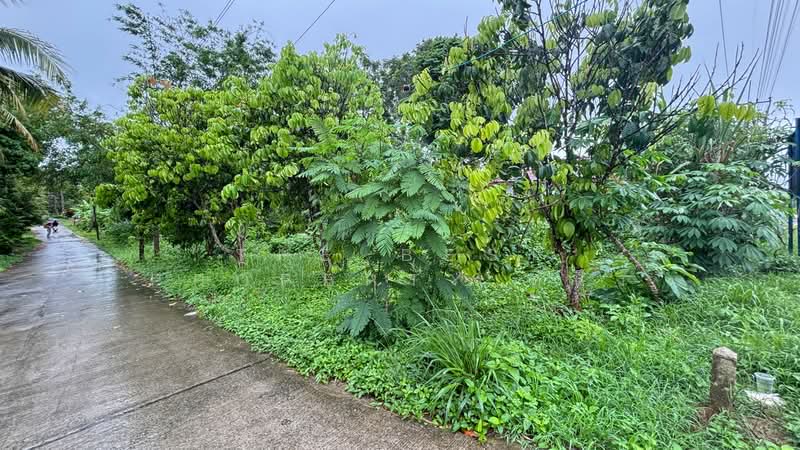 ที่ดินโป่งน้ำร้อน จันทบุรี, Chanthaburi, Thap Sai, Pong Nam Ron, Chanthaburi, , 3,080 sqm, Land For Sale, by The Best Property หนึ่ง, 500365871 - DDproperty.com
