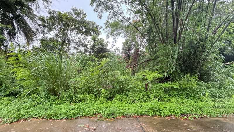 ที่ดินโป่งน้ำร้อน จันทบุรี, Chanthaburi, Thap Sai, Pong Nam Ron, Chanthaburi, , 3,080 sqm, Land For Sale, by The Best Property หนึ่ง, 500365871 - DDproperty.com