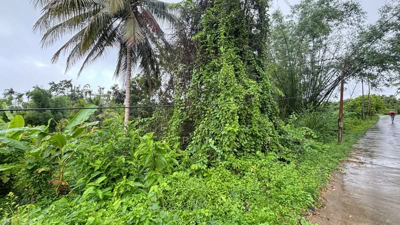 ที่ดินโป่งน้ำร้อน จันทบุรี, Chanthaburi, Thap Sai, Pong Nam Ron, Chanthaburi, , 3,080 sqm, Land For Sale, by The Best Property หนึ่ง, 500365871 - DDproperty.com