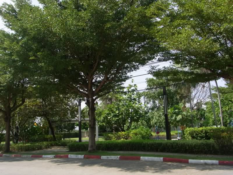 Motto Karnchanapisek-Rama 2, Bangkok, Karnchanapisek Road, Bang Bon, Bangkok, 3 Bedrooms, 225 sqm, Single Detached House For Sale, by คุณอัมพร ศิริภานุรัตน์, 500365945 - DDproperty.com