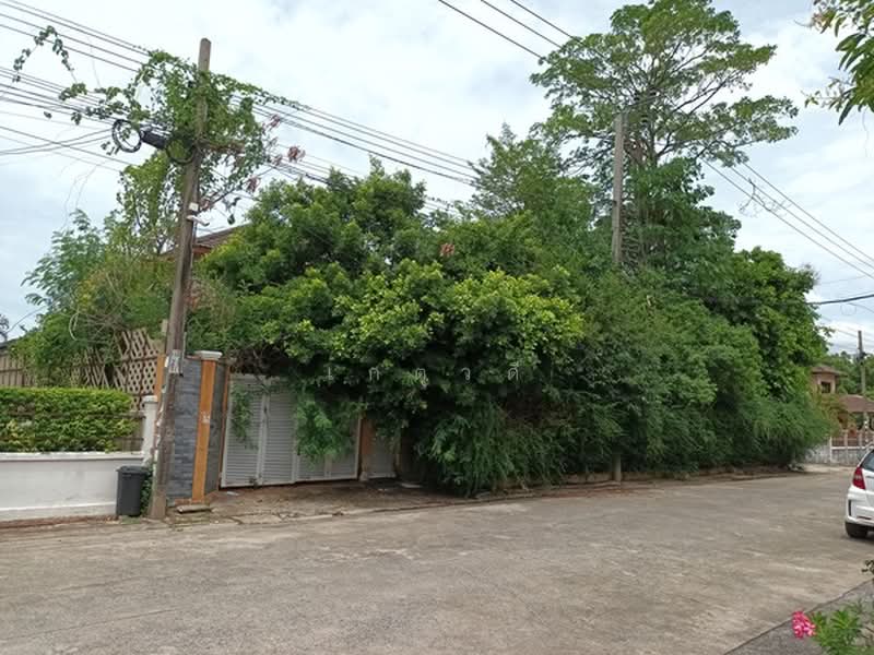 K.C. Garden Home 2, Bangkok, Sam Wa Tawan Ok, Khlong Sam Wa, Bangkok, 3 Bedrooms, 245 sqm, Single Detached House For Sale, by เกตุวดี, 500366059 - DDproperty.com