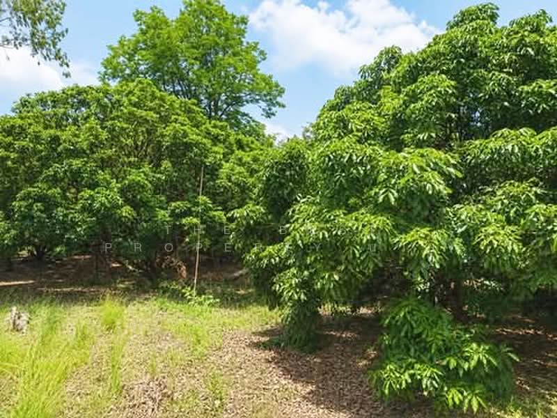 ที่ดินสอยดาว จันทบุรี, จันทบุรี, ทรายขาว, สอยดาว, จันทบุรี, 57,172 ตร.ม., ที่ดิน ขาย, โดย The Best Property บ๊วย, 500366120 - DDproperty.com