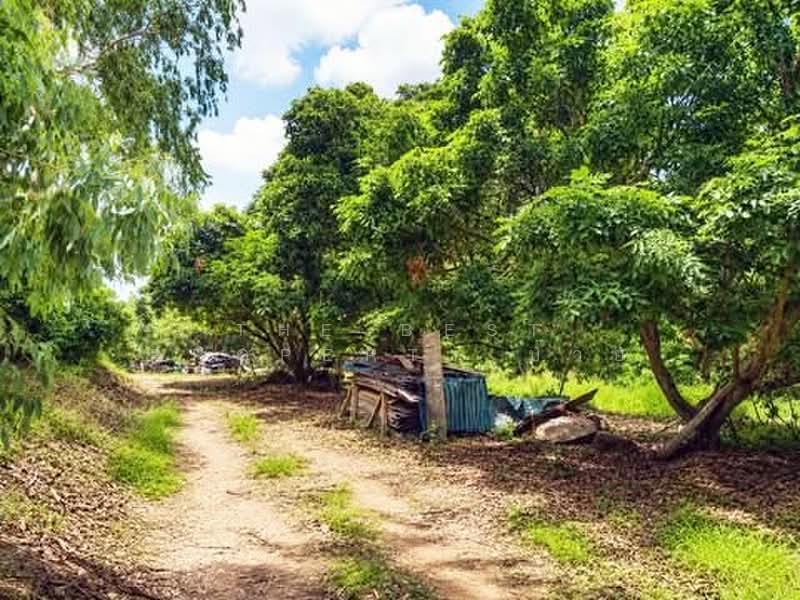 ที่ดินสอยดาว จันทบุรี, Chanthaburi, Sai Khao, Soydow, Chanthaburi, , 57,172 sqm, Land For Sale, by The Best Property บ๊วย, 500366120 - DDproperty.com