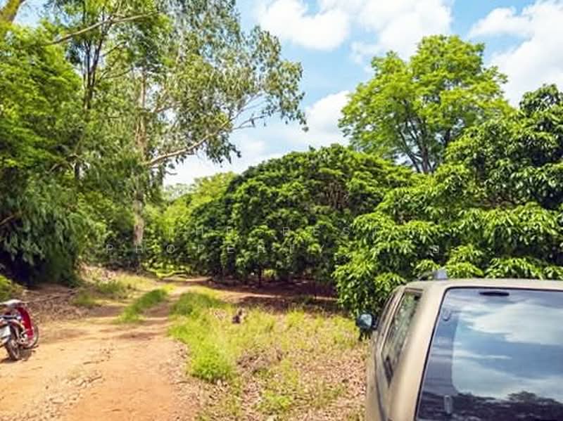 ที่ดินสอยดาว จันทบุรี, Chanthaburi, Sai Khao, Soydow, Chanthaburi, , 57,172 sqm, Land For Sale, by The Best Property บ๊วย, 500366120 - DDproperty.com